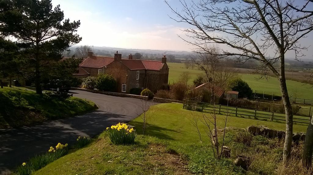Little Holtby B&B Kirkby Fleetham Extérieur photo